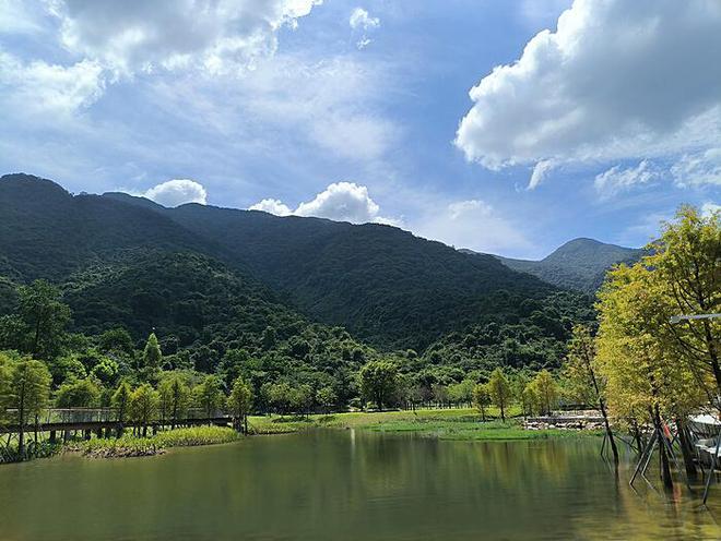 雷佳音李庚希璀璨夺目，金鸡奖影帝影后荣誉加冕