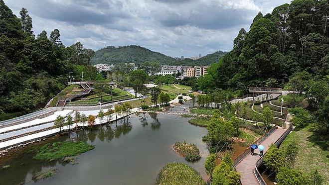 官方称有80人满足免费吃自助餐条件