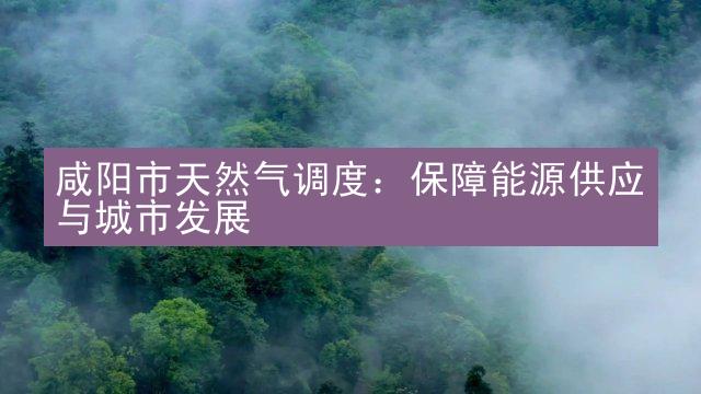 咸阳市天然气调度：保障能源供应与城市发展