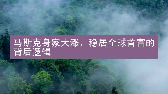 马斯克身家大涨，稳居全球首富的背后逻辑